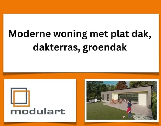 Moderne woning met plat dak, dakterras, groendak