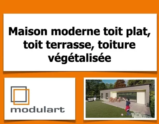 Maison moderne toit plat, toit terrasse, toit végétalisée