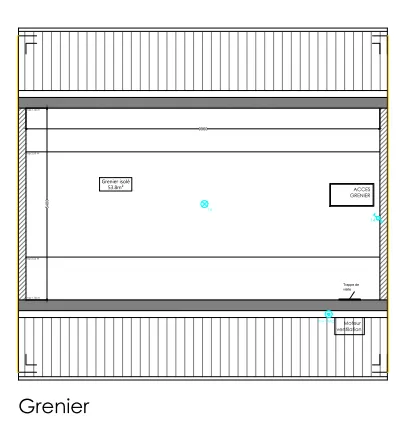 Grenier immeuble de rapport 2x3